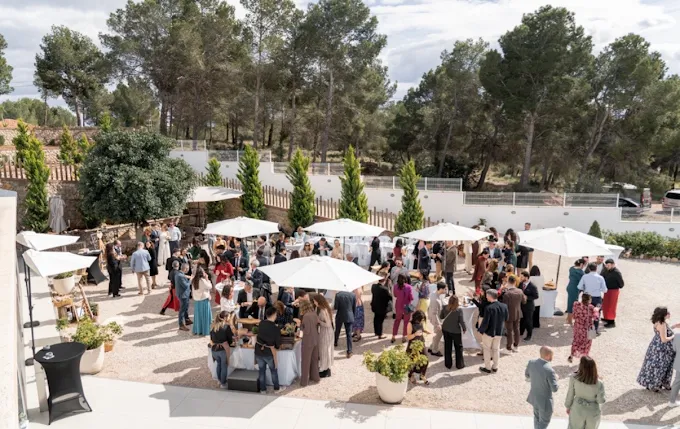 Invitados en un cóctel al aire libre en una finca con pinos